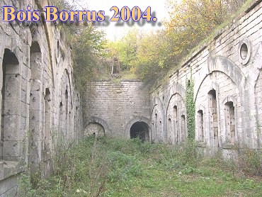 Bois Borrus013.jpg (53879 Byte)