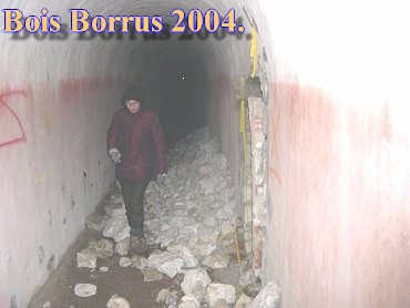 Bois Borrus017.jpg (23759 Byte)