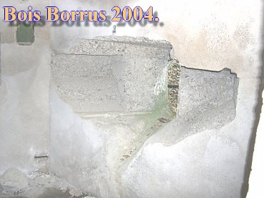 Bois Borrus019.jpg (31516 Byte)