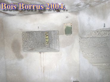 Bois Borrus020.jpg (27753 Byte)