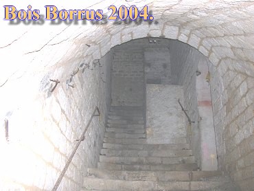 Bois Borrus022.jpg (30707 Byte)