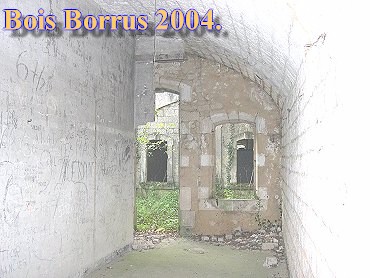 Bois Borrus027.jpg (37487 Byte)