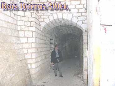 Bois Borrus028.jpg (31603 Byte)