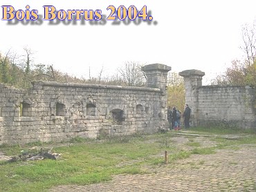 Bois Borrus030.jpg (38717 Byte)