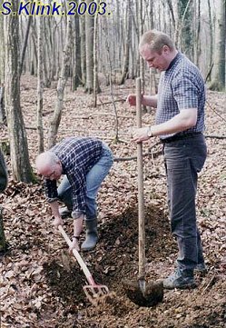 Denkmal006.jpg (45323 Byte)