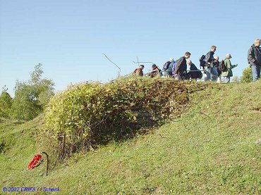 Thiaumont08a.jpg (38839 Byte)