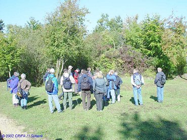 Thiaumont18a.jpg (47935 Byte)