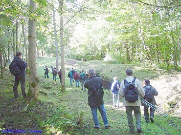 Thiaumont20a.jpg (50353 Byte)