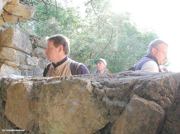 Thiaumont35a.jpg (34544 Byte)