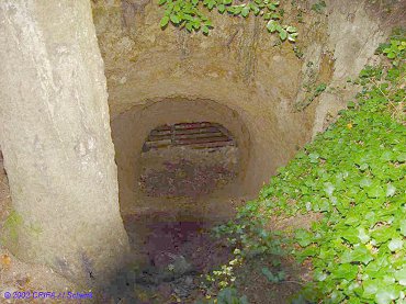 Totermann05a.jpg (37296 Byte)