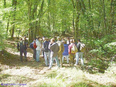 Totermann06a.jpg (56759 Byte)