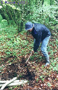 denkmal014.jpg (51133 Byte)